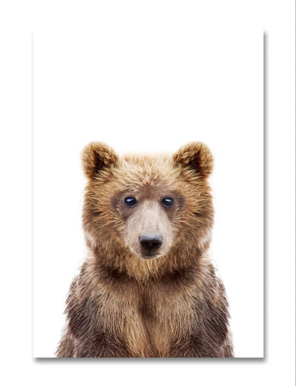 The Peeking Grizzly Bear 🐻 Canvas Print Picture Wall Art - 1X2402463 - Art Fever - Art Fever