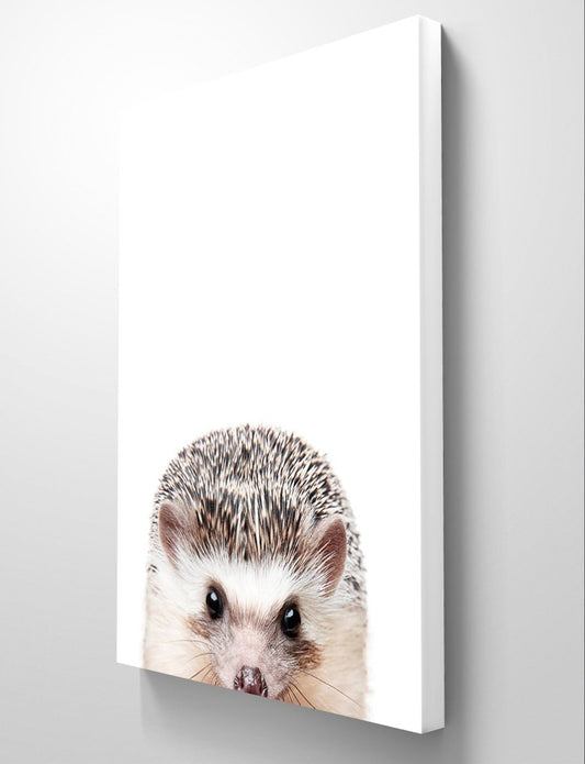 The Peeking Hedgehog Canvas Print Picture Wall Art - 1X2381973 - Art Fever - Art Fever