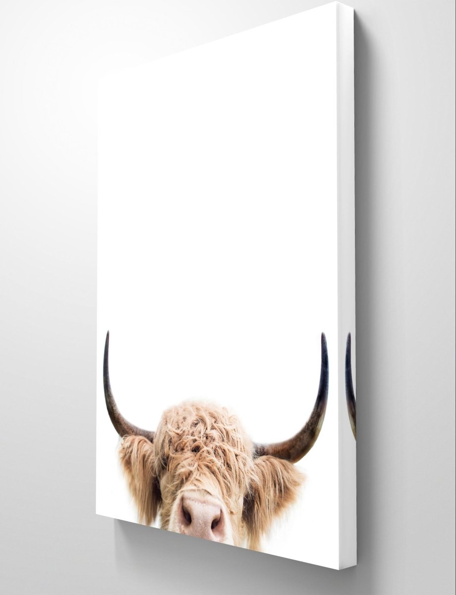 The Peeking Highland Cow Canvas Print Picture Wall Art - 1X 2381995 - Art Fever - Art Fever