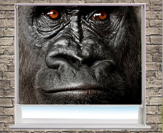 The silverback gorilla Close up Printed Picture Photo Roller Blind - RB252 - Art Fever - Art Fever