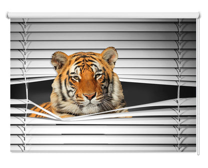 The Tiger Peeking through the blind Printed Picture Photo Roller Blind - RB1288 - Art Fever - Art Fever