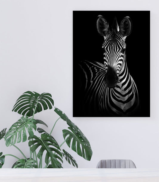 The Zebra Canvas Print Wall Art - 1X1487549 - Art Fever - Art Fever