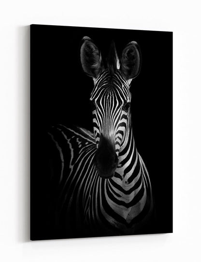The Zebra Canvas Print Wall Art - 1X1487549 - Art Fever - Art Fever
