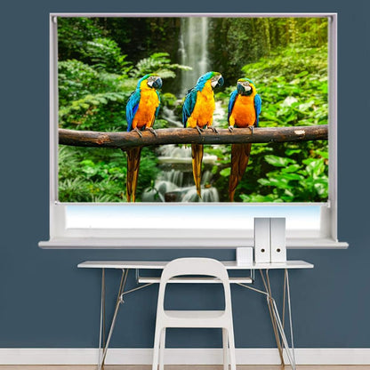 Three Blue and Gold macaw over the waterfall Printed Picture Photo Roller Blind - RB709 - Art Fever - Art Fever