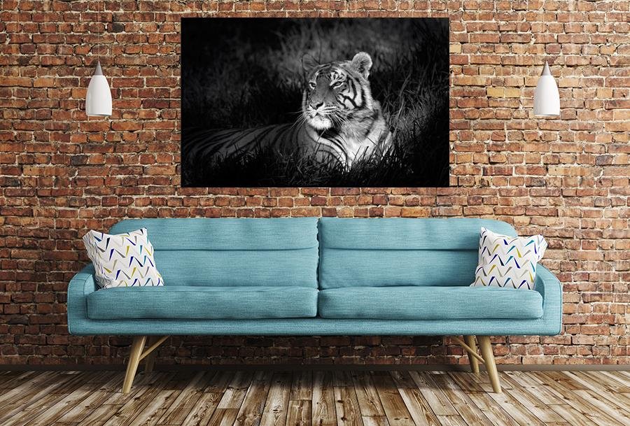 Tiger Chilling Image Image Printed Onto A Single Panel Canvas - SPC138 - Art Fever - Art Fever