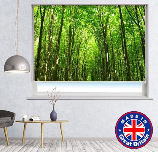 Trees Of Nature Printed Picture Photo Roller Blind - RB667 - Art Fever - Art Fever