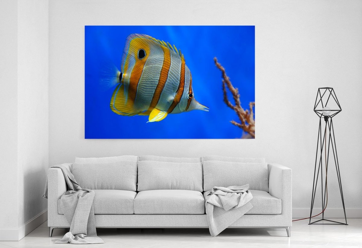 Tropical Butterfly fish Canvas Print Wall Art - 1X10119 - Art Fever - Art Fever