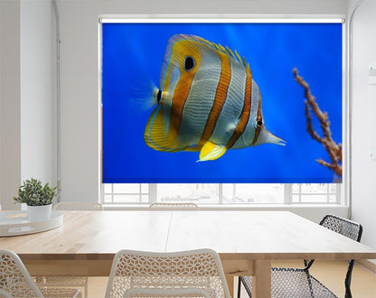 Tropical Butterflyfish Printed Picture Photo Roller Blind - 1X10119 - Art Fever - Art Fever
