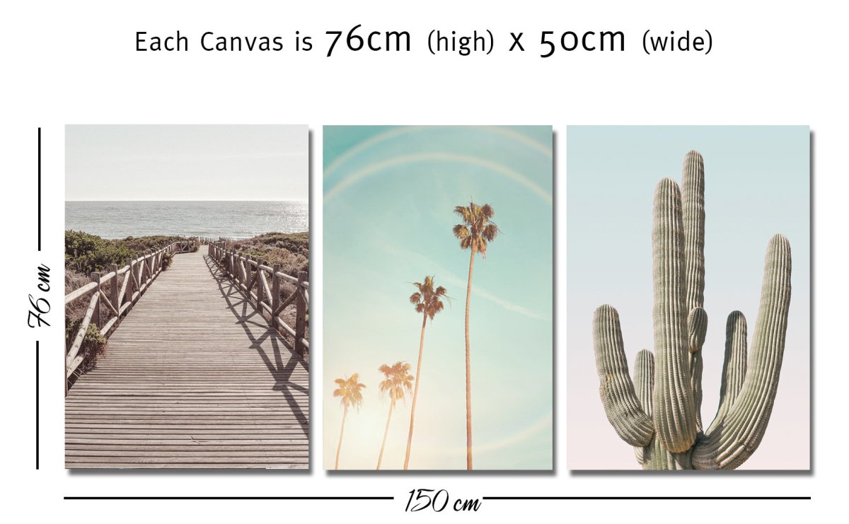 Tropical Palm Cacti Beach Scene Set of 3 Canvas Print Wall Art Pictures - 1X2402525 - Art Fever - Art Fever