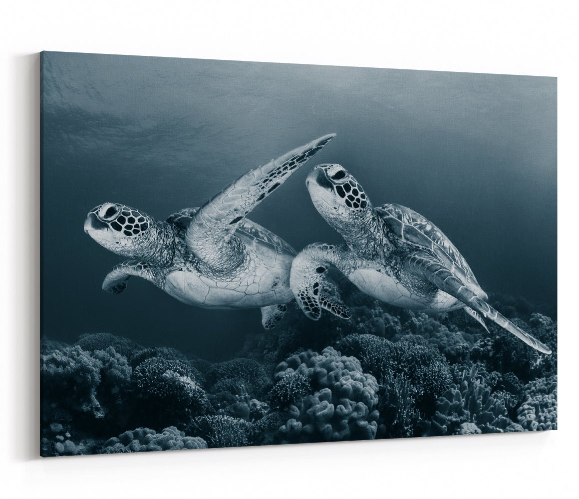 Twin dance Underwater Turtle Canvas Print Wall Art - 1X53696 - Art Fever - Art Fever