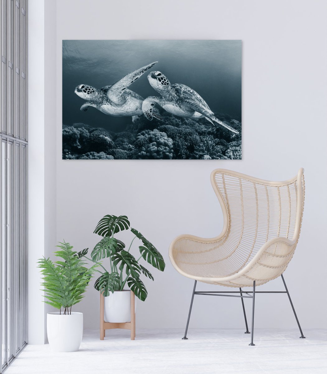 Twin dance Underwater Turtle Canvas Print Wall Art - 1X53696 - Art Fever - Art Fever