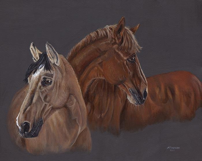 Two Brown Horses | Brief Encounter by Pam Morton Printed Picture Roller Blind - RB869 - Art Fever - Art Fever