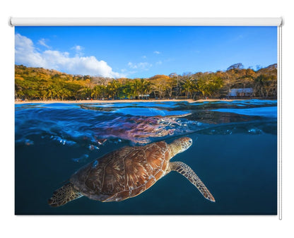 Underwater Sea Turtle Printed Picture Photo Roller Blind - 1X55707 - Art Fever - Art Fever