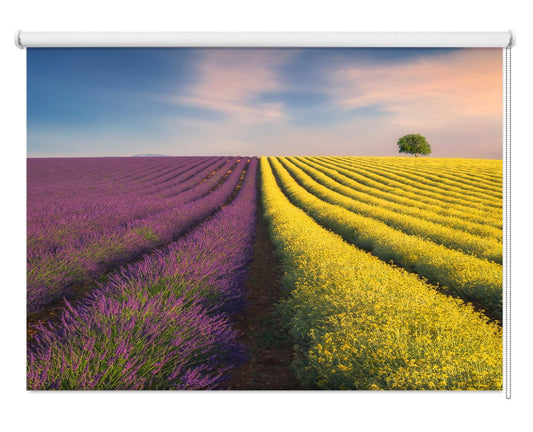 Violyellow Lavender Field Printed Photo Roller Blind - 1X1658826 - Art Fever - Art Fever