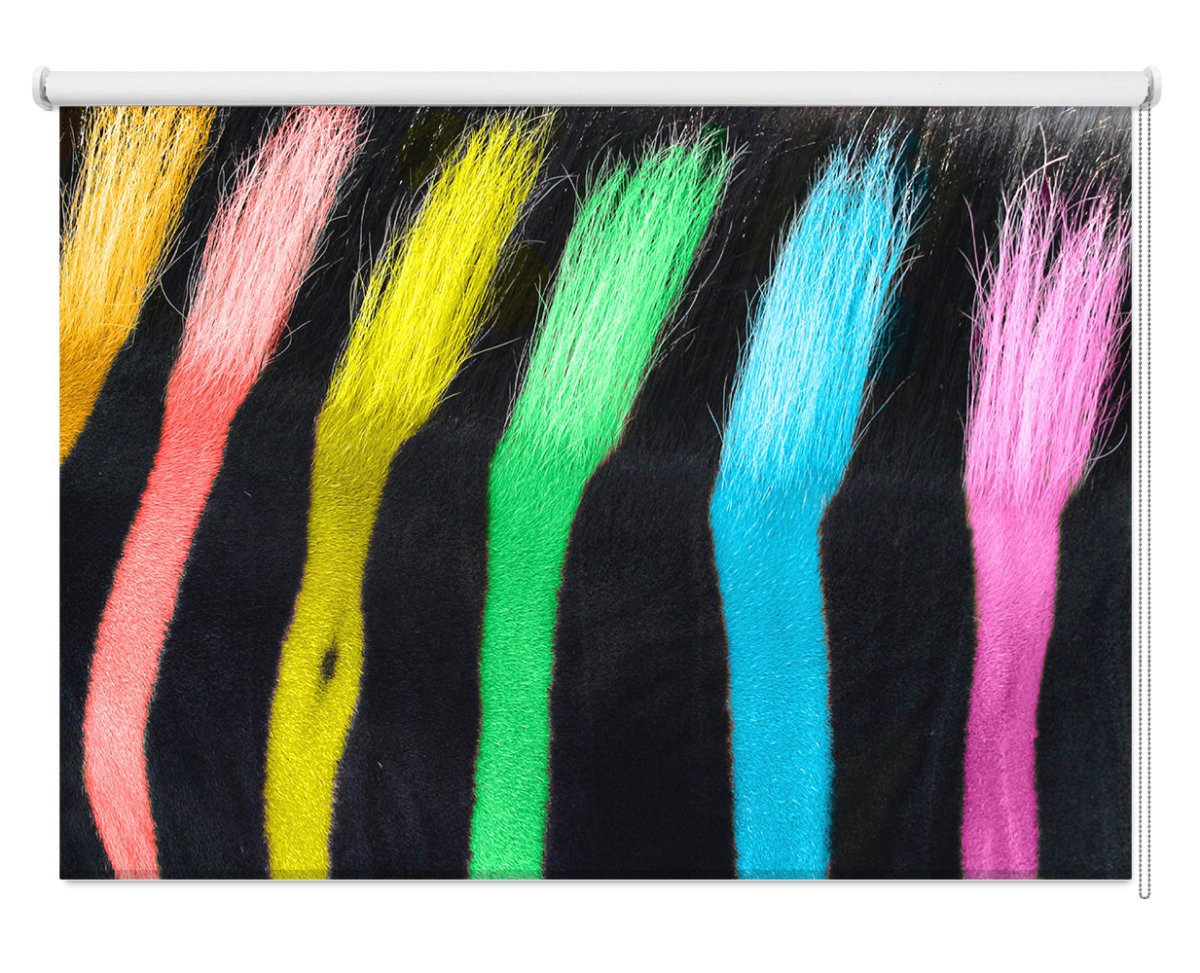 Vivid Colour Zebra Stripes Animal Print Printed Picture Photo Roller Blind - RB1309 - Art Fever - Art Fever