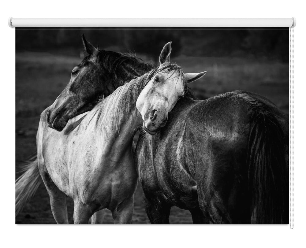 Warm rain Black & White Horses Printed Picture Photo Roller Blind - 1X1579809 - Pictufy - Art Fever