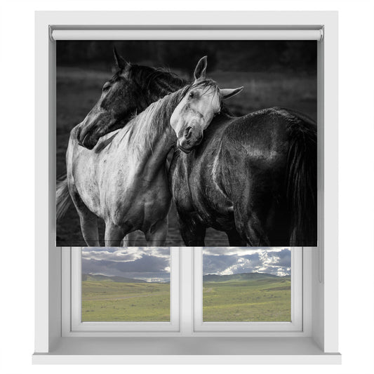Warm rain Black & White Horses Printed Picture Photo Roller Blind - 1X1579809 - Pictufy - Art Fever