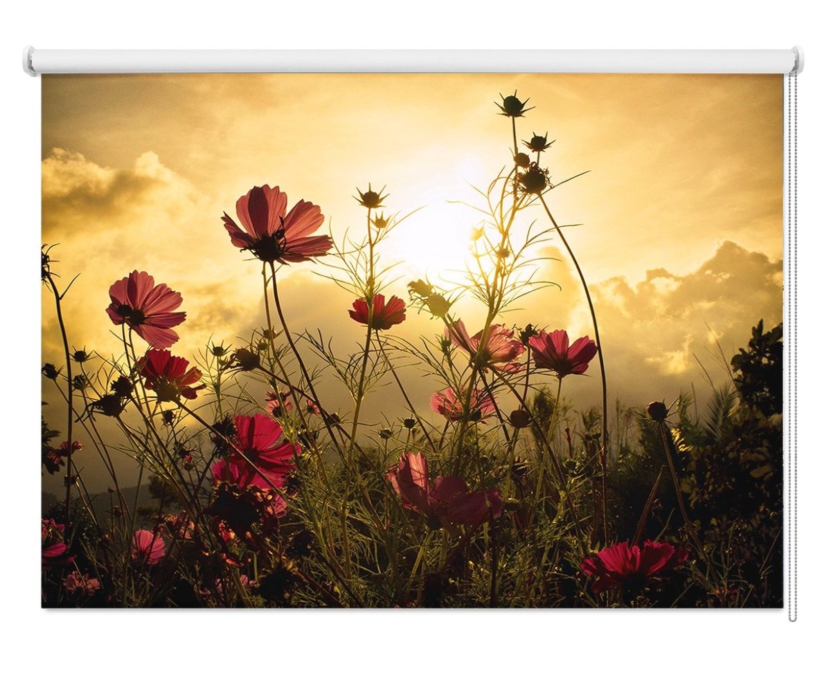 Watching The Sun Printed Picture Photo Roller Blind - 1X736730 - Art Fever - Art Fever