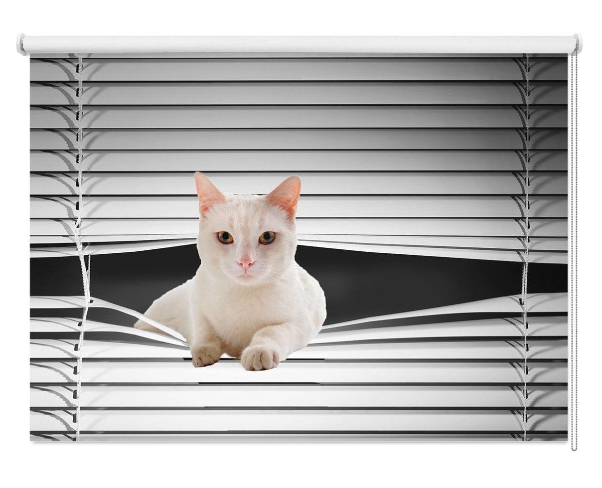 White Cat Peeking through the blind Printed Picture Photo Roller Blind - RB1133 - Art Fever - Art Fever