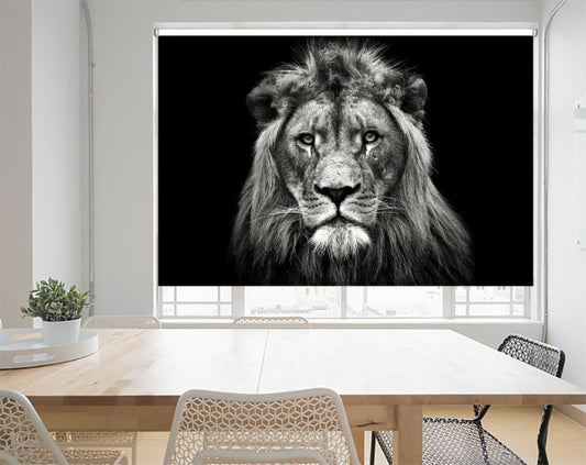 Young Male Lion Printed Picture Photo Roller Blind - 1X1653719 - Art Fever - Art Fever