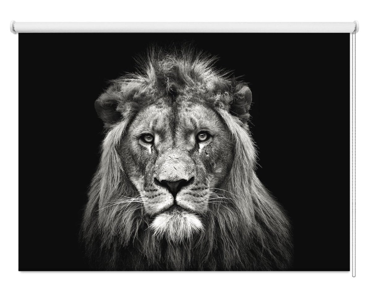 Young Male Lion Printed Picture Photo Roller Blind - 1X1653719 - Art Fever - Art Fever