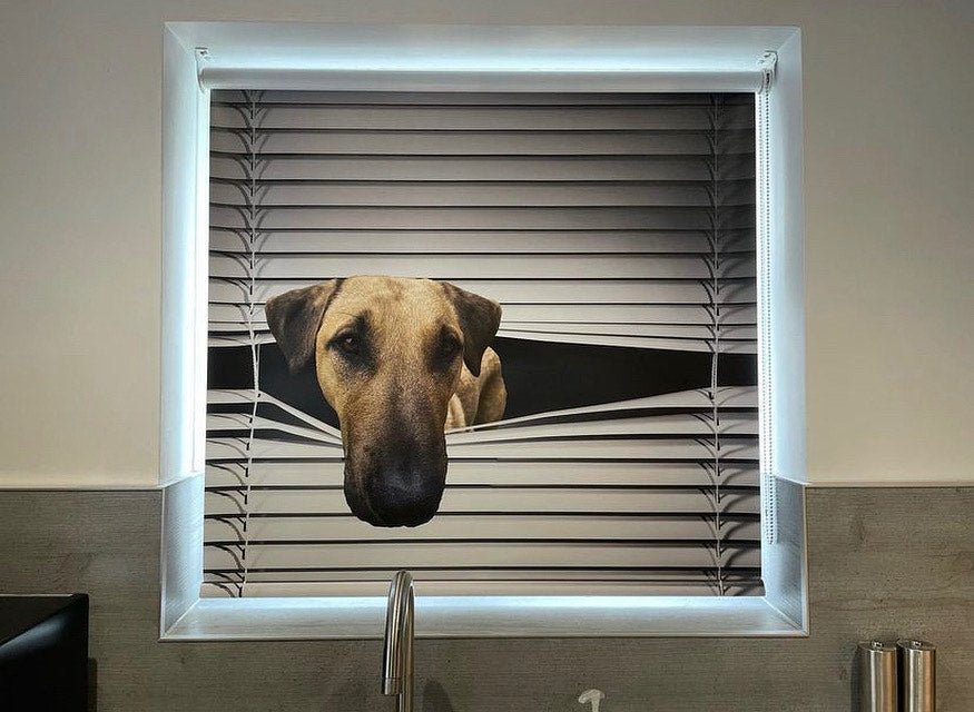 Your Own Pet Animal Peeking Image Printed Roller Blind Printed