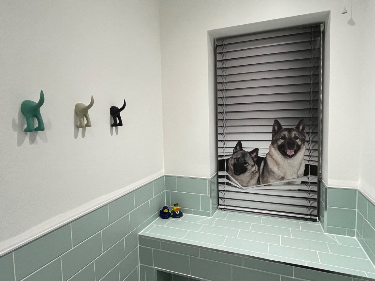 Your Own Pet Animal Peeking© Image Printed Roller Blind - RB864 - Art Fever - Art Fever