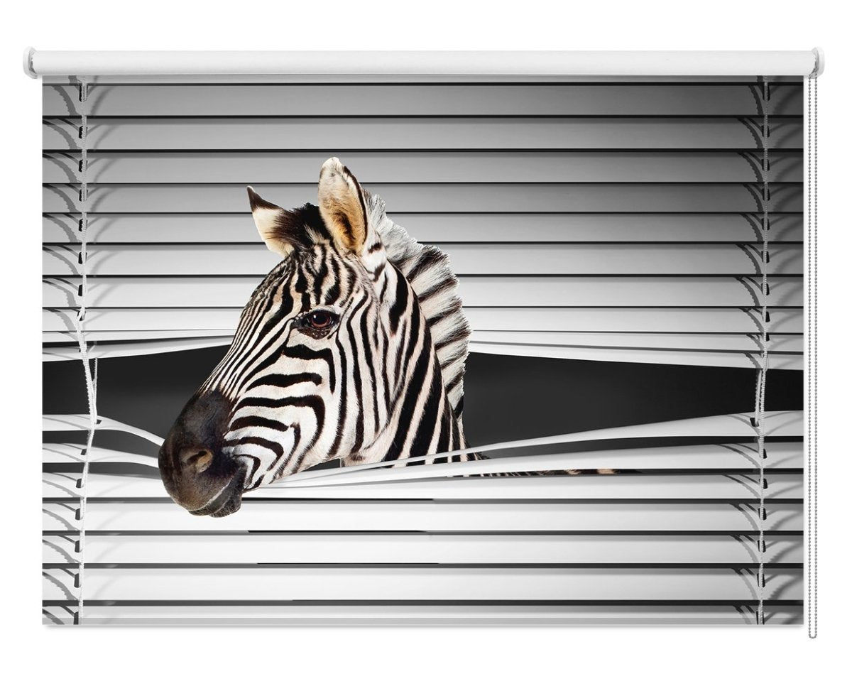 Zebra Peeking through the blind Printed Picture Photo Roller Blind - RB226 - Art Fever - Art Fever