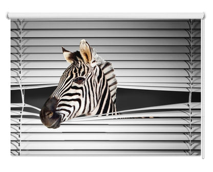 Zebra Peeking through the blind Printed Picture Photo Roller Blind - RB226 - Art Fever - Art Fever