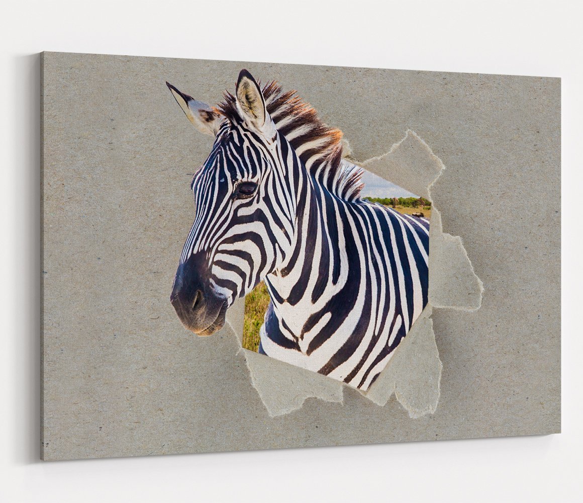 Zebra Peeking through the Canvas Safari Scene Printed Canvas Print Picture - SPC182 - Art Fever - Art Fever