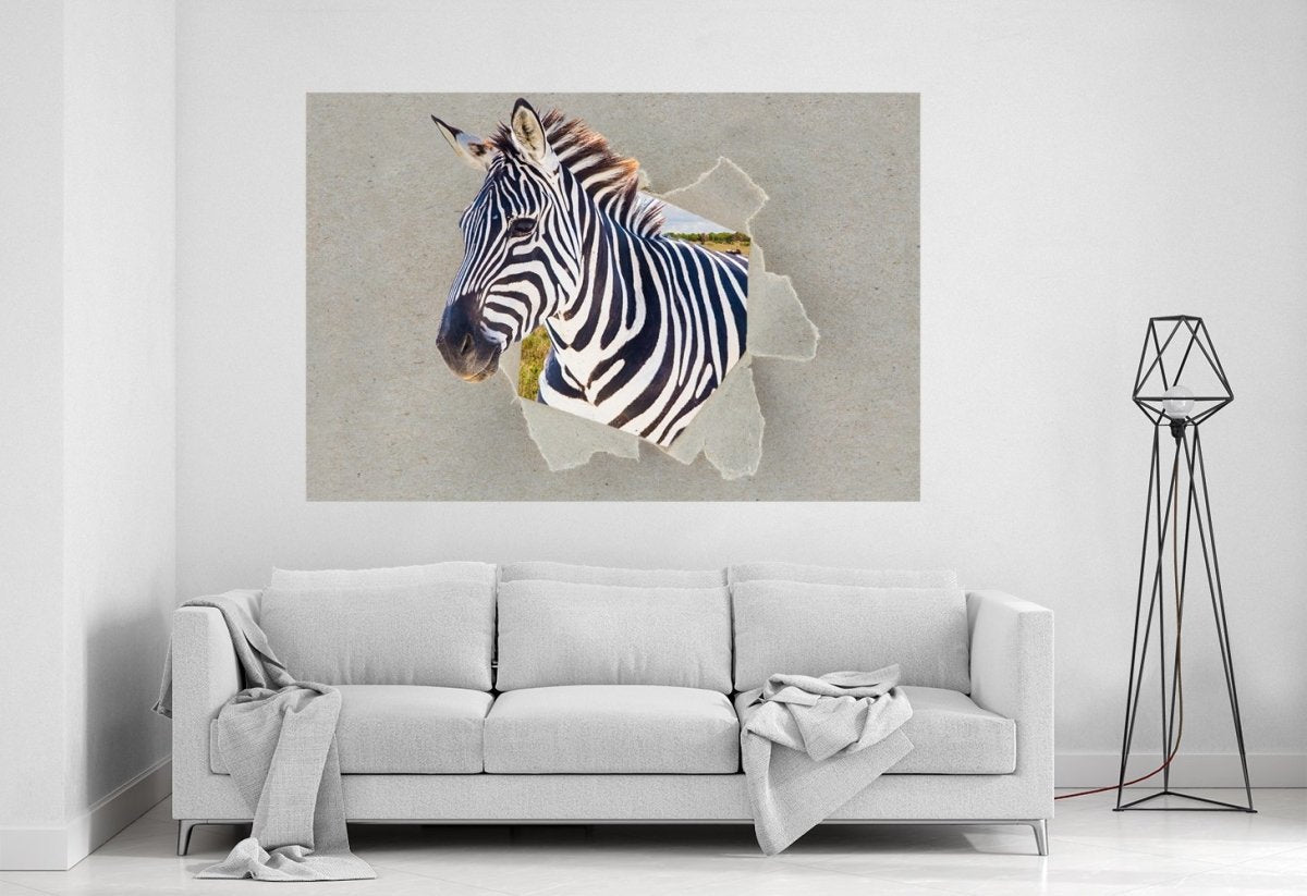 Zebra Peeking through the Canvas Safari Scene Printed Canvas Print Picture - SPC182 - Art Fever - Art Fever