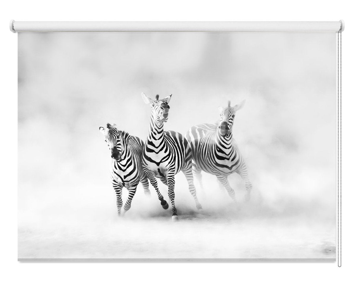 Zebras Running Printed Picture Photo Roller Blind - 1X559287 - Art Fever - Art Fever